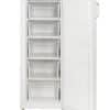 Freezer Vertical James 168 Litros Clase A FVJ - 261 KN G2