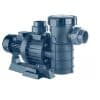 BOMBA ASTRAL FLUVIA 0.75 HP Para Piscina
