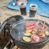 Parrilla Barbacoa Napoleon Carbón 36cm - Calidad superior