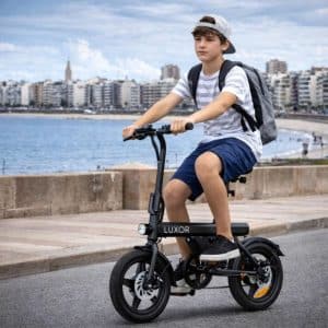 Bicicleta Eléctrica Luxor Eb9 Rodado 16'' 500w 120kg