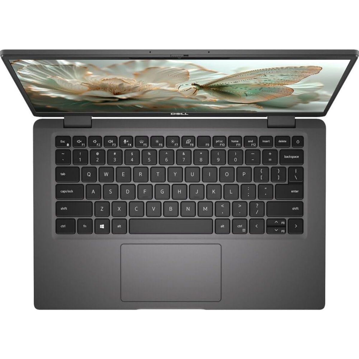 Copia - Notebook Dell Latitude 7320 11th Gen Intel(R) Core(TM) i5-1145G7 @ 2.60GHz 8GB 256GB 13,3" Win 11 Pro - Reacondicionado Copia - Notebook Dell Latitude 7320 11th Gen Intel(R) Core(TM) i5-1145G7 @ 2.60GHz 8GB 256GB 13,3" Win 11 Pro - Reacondicionado