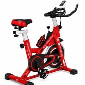 Copia - Bicicleta Spinning Profesional Ergométrica Disco 13Kg Premium Negra