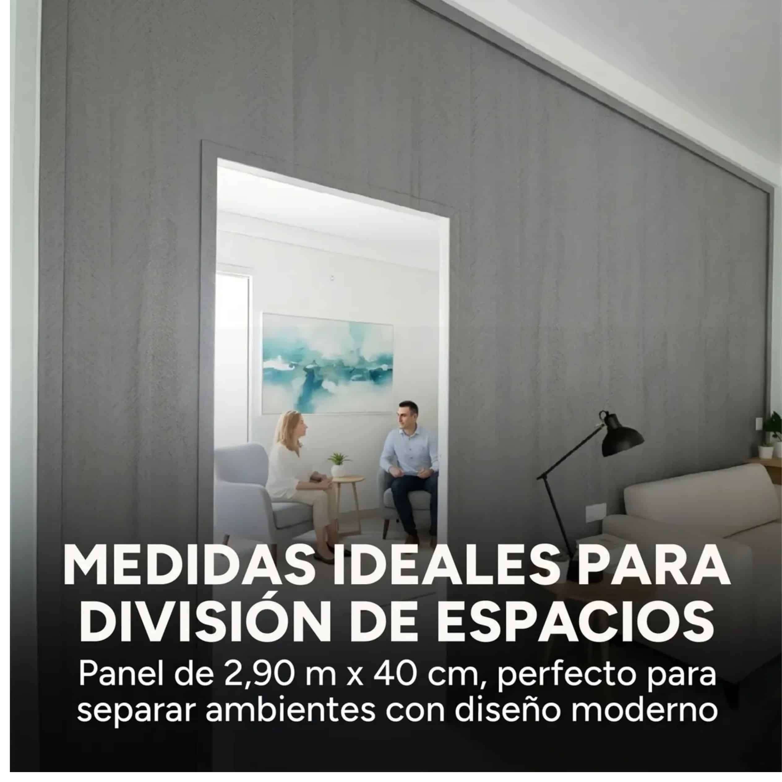 Panel Divisor Separador Ambientes 2,4 X 2,90m GRIS